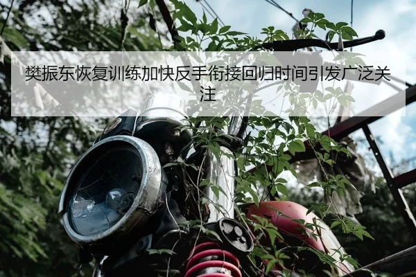 樊振东恢复训练加快反手衔接回归时间引发广泛关注